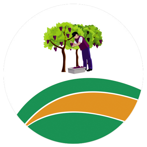 viñedos